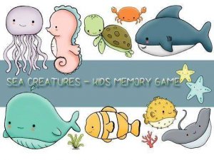 Marine Memory Card Quest