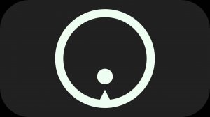 Precision Leap Hoops