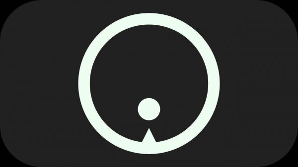 Precision Leap Hoops