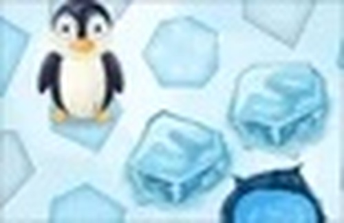 Arctic Puzzle Trio