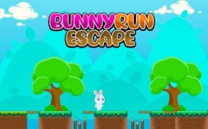 Bunny Run Adventure