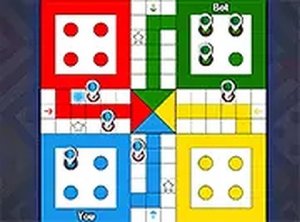 Classic Ludo Board Game
