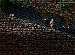 Relic Runner: Temple Explorer